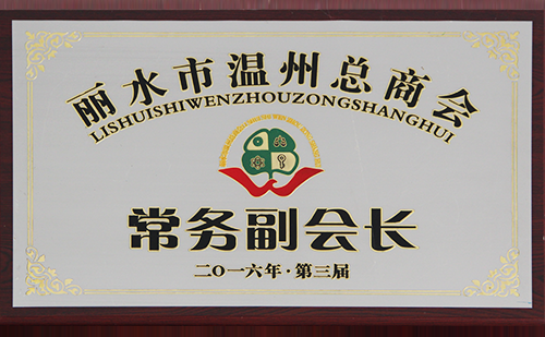 2016麗水溫州總商會常務副會長